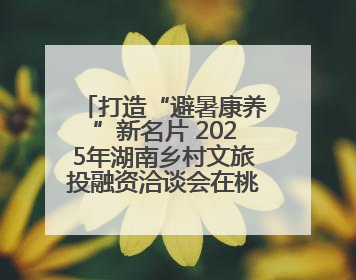 打造“避暑康养”新名片 2025年湖南乡村文旅投融资洽谈会在桃江举办
