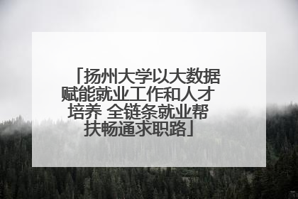 扬州大学以大数据赋能就业工作和人才培养 全链条就业帮扶畅通求职路