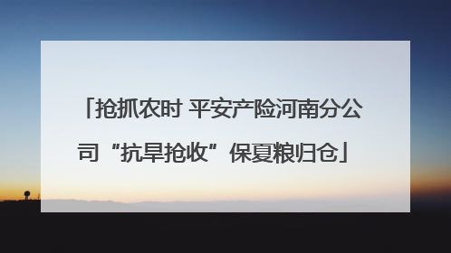 抢抓农时 平安产险河南分公司“抗旱抢收”保夏粮归仓