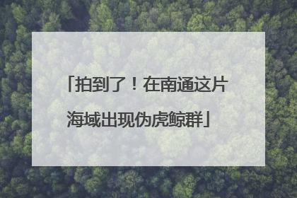 拍到了！在南通这片海域出现伪虎鲸群