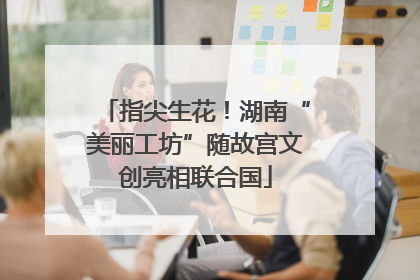 指尖生花！湖南“美丽工坊”随故宫文创亮相联合国
