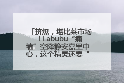 挤爆，堪比菜市场！Labubu“痛墙”空降静安嘉里中心，这个精灵还要“突袭”便利店？