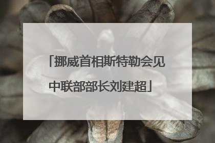 挪威首相斯特勒会见中联部部长刘建超