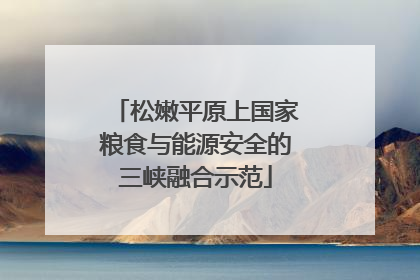 松嫩平原上国家粮食与能源安全的三峡融合示范