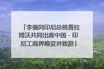 李强同印尼总统普拉博沃共同出席中国－印尼工商界晚宴并致辞