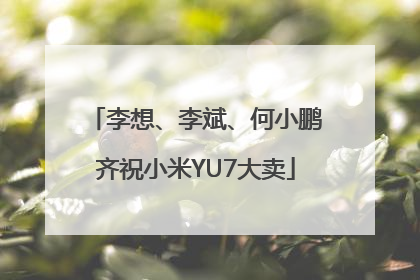 李想、李斌、何小鹏齐祝小米YU7大卖