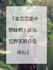 来尝尝茶中野味吧！庆元荒野茶推介会举行