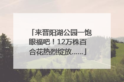 来晋阳湖公园一饱眼福吧！12万株百合花热烈绽放……