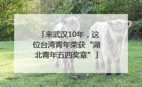 来武汉10年，这位台湾青年荣获“湖北青年五四奖章”