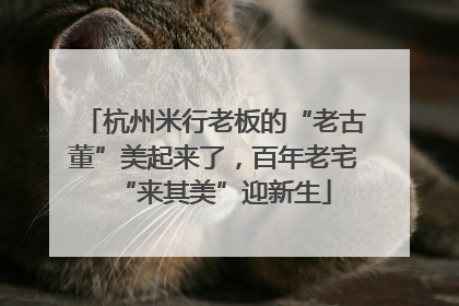 杭州米行老板的“老古董”美起来了，百年老宅“来其美”迎新生