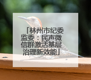 林州市纪委监委：民声微信群激活基层治理新效能