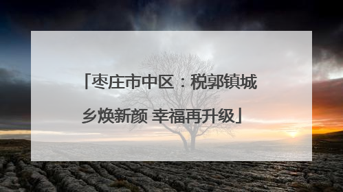 枣庄市中区：税郭镇城乡焕新颜 幸福再升级