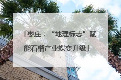 枣庄：“地理标志”赋能石榴产业蝶变升级