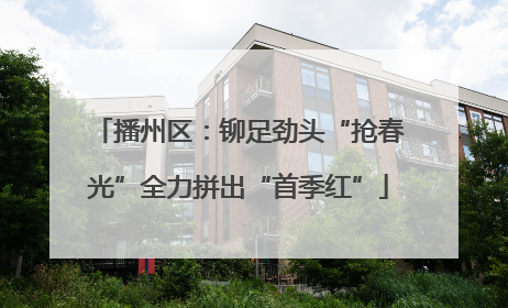 播州区：铆足劲头“抢春光”全力拼出“首季红”