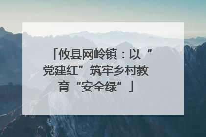 攸县网岭镇：以“党建红”筑牢乡村教育“安全绿”