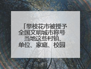 攀枝花市被授予全国文明城市称号 当地这些村镇、单位、家庭、校园也是全国文明！
