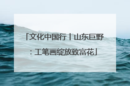 文化中国行丨山东巨野：工笔画绽放致富花
