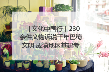 文化中国行｜230余件文物诉说千年巴蜀文明 成渝地区基建考古成果展开展