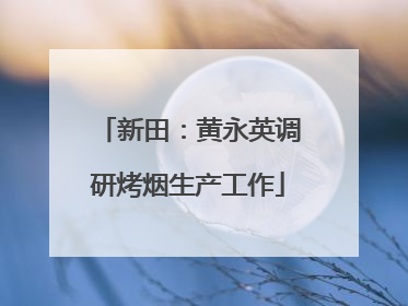 新田：黄永英调研烤烟生产工作