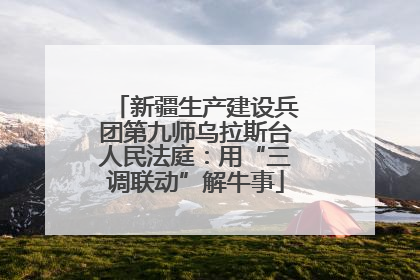 新疆生产建设兵团第九师乌拉斯台人民法庭：用“三调联动”解牛事