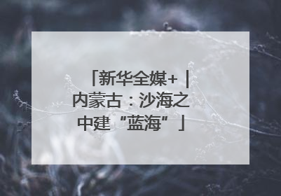 新华全媒+｜内蒙古：沙海之中建“蓝海”