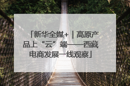 新华全媒+｜高原产品上“云”端——西藏电商发展一线观察