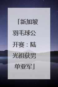 新加坡羽毛球公开赛：陆光祖获男单亚军