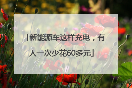 新能源车这样充电，有人一次少花60多元