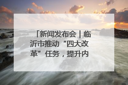 新闻发布会｜临沂市推动“四大改革”任务，提升内部审计监督效能