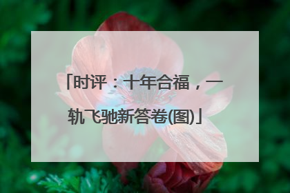 时评：十年合福，一轨飞驰新答卷(图)
