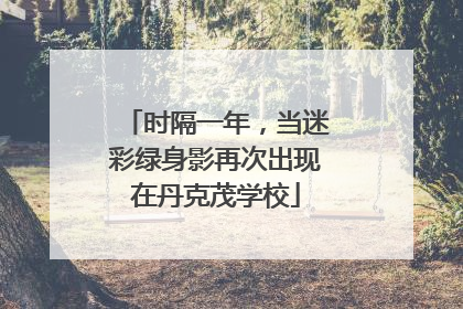 时隔一年，当迷彩绿身影再次出现在丹克茂学校