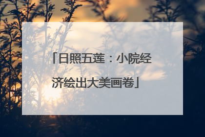 日照五莲：小院经济绘出大美画卷