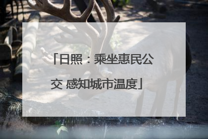 日照：乘坐惠民公交 感知城市温度