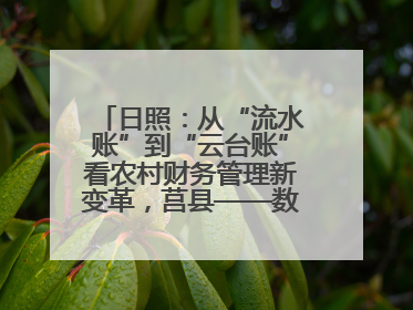 日照：从“流水账”到“云台账”看农村财务管理新变革，莒县——数字赋能激活乡村振兴“一池春水”