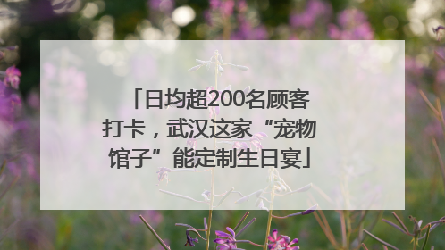 日均超200名顾客打卡，武汉这家“宠物馆子”能定制生日宴
