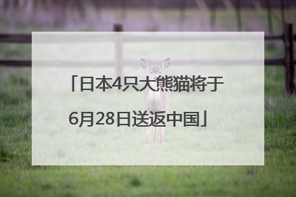 日本4只大熊猫将于6月28日送返中国