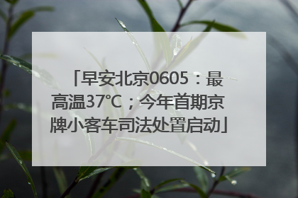 早安北京0605：最高温37℃；今年首期京牌小客车司法处置启动