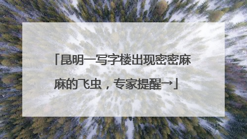 昆明一写字楼出现密密麻麻的飞虫，专家提醒→