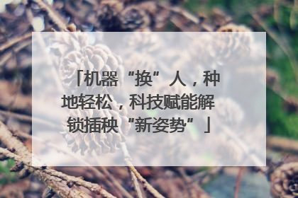 机器“换”人，种地轻松，科技赋能解锁插秧“新姿势”
