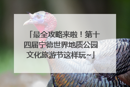 最全攻略来啦！第十四届宁德世界地质公园文化旅游节这样玩~