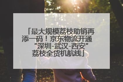 最大规模荔枝助销再添一码！京东物流开通“深圳-武汉-西安” 荔枝全货机航线