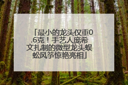 最小的龙头仅重0.6克！手艺人庞希文扎制的微型龙头蜈蚣风筝惊艳亮相
