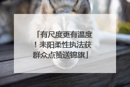 有尺度更有温度！耒阳柔性执法获群众点赞送锦旗