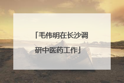 毛伟明在长沙调研中医药工作