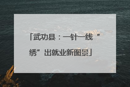 武功县：一针一线“绣”出就业新图景