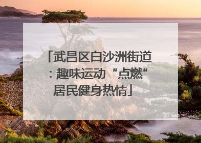 武昌区白沙洲街道：趣味运动“点燃”居民健身热情
