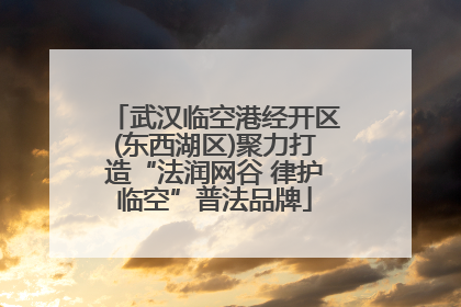 武汉临空港经开区(东西湖区)聚力打造“法润网谷 律护临空”普法品牌