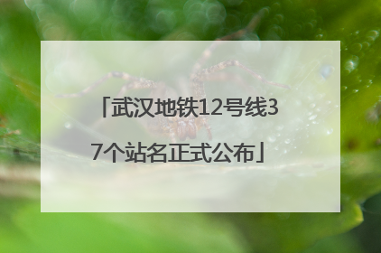 武汉地铁12号线37个站名正式公布