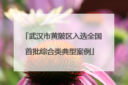 武汉市黄陂区入选全国首批综合类典型案例