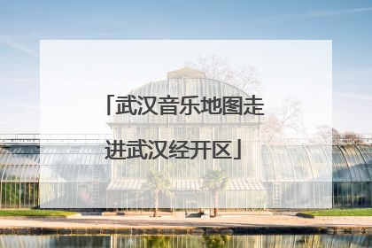 武汉音乐地图走进武汉经开区